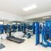 Palestra