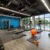 Palestra