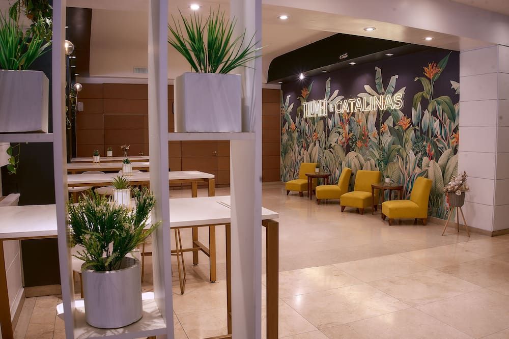 Ingresso