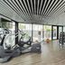 Palestra