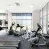 Palestra