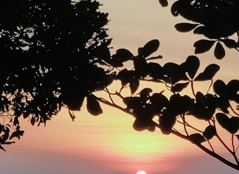 Spiaggia Foto