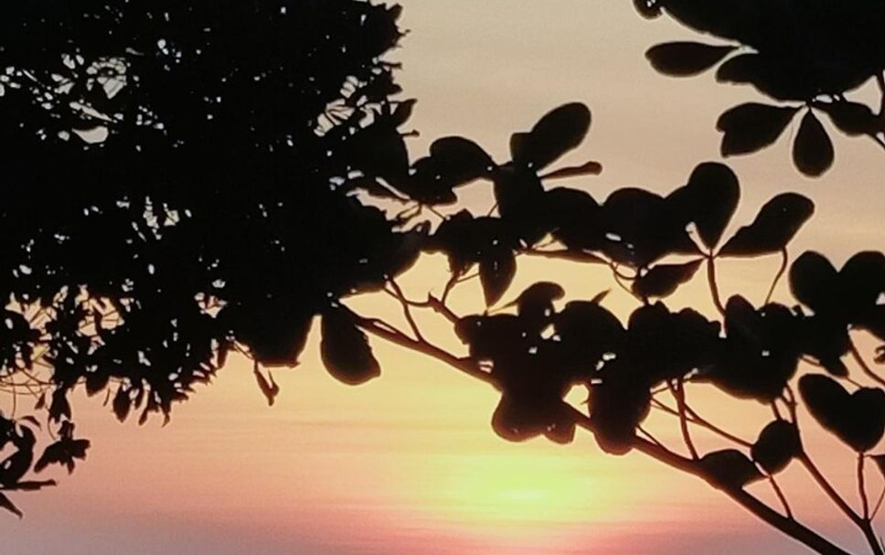 Spiaggia Foto