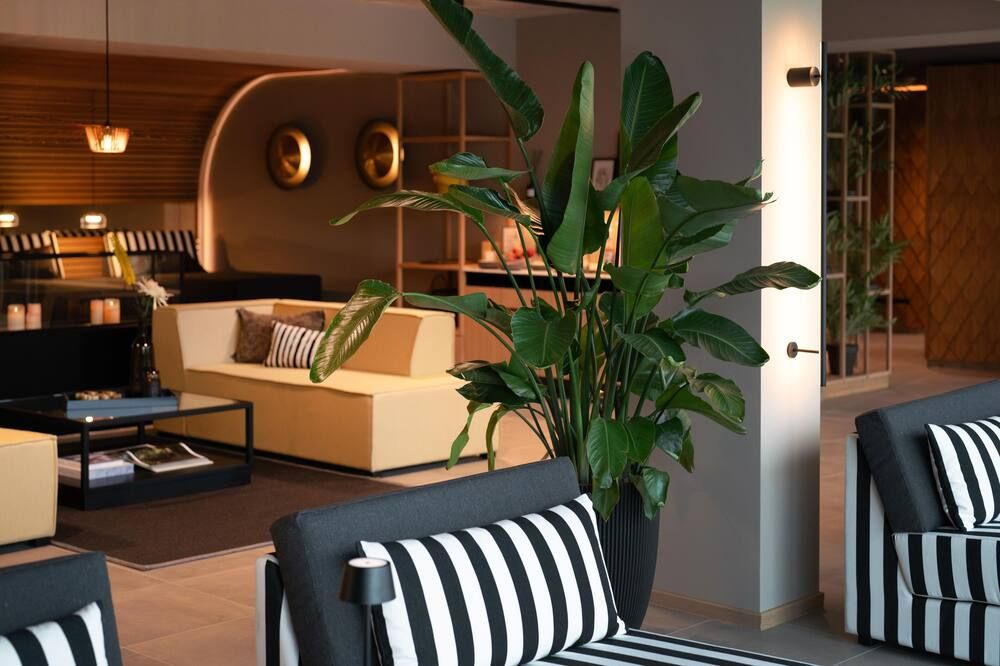 Area lounge