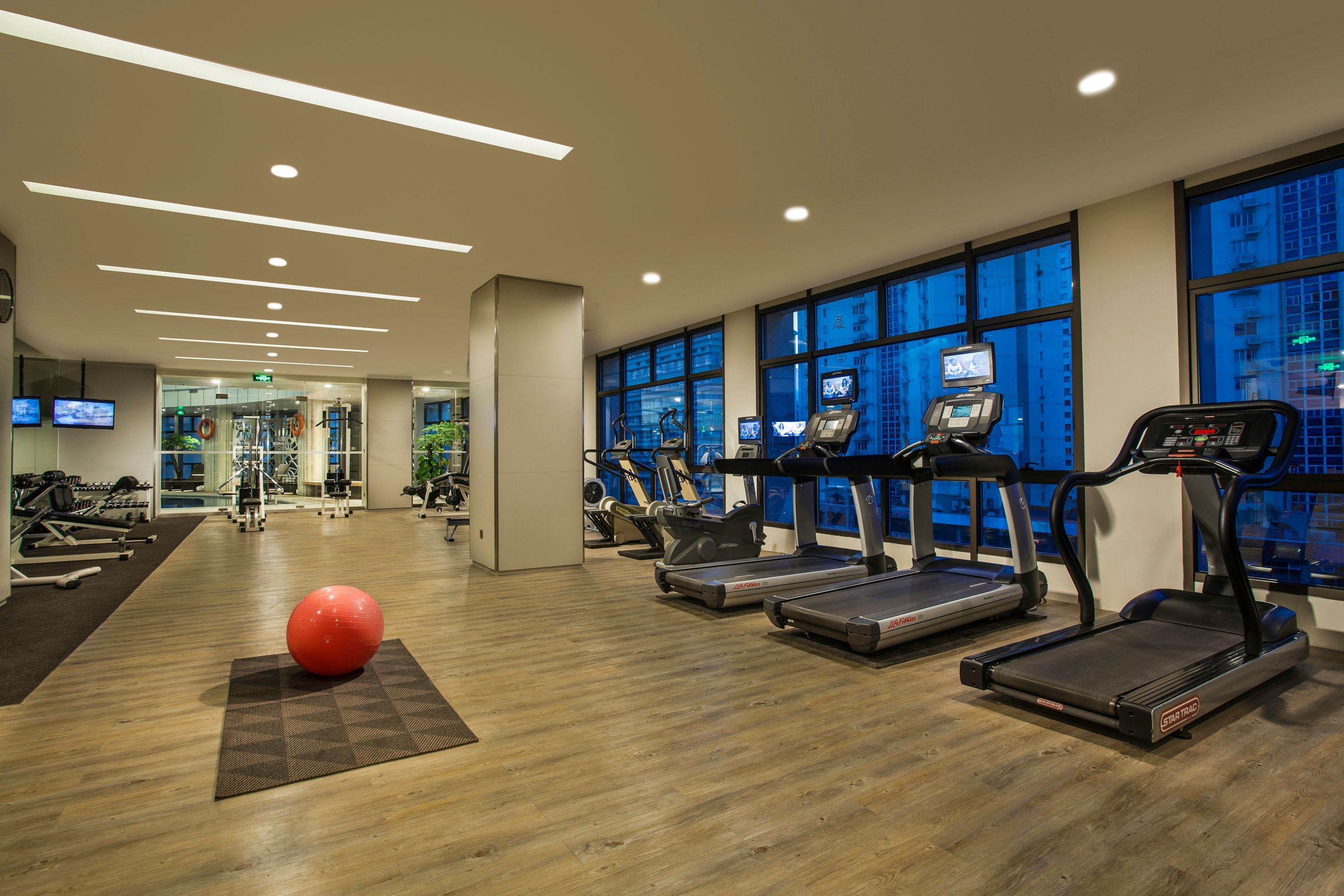 Palestra