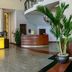 Ingresso