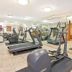 Palestra