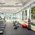 Palestra