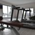 Palestra