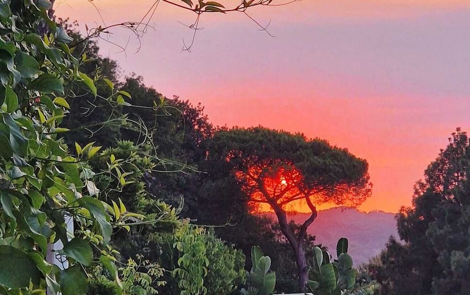 Vista esterna Foto