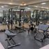 Palestra