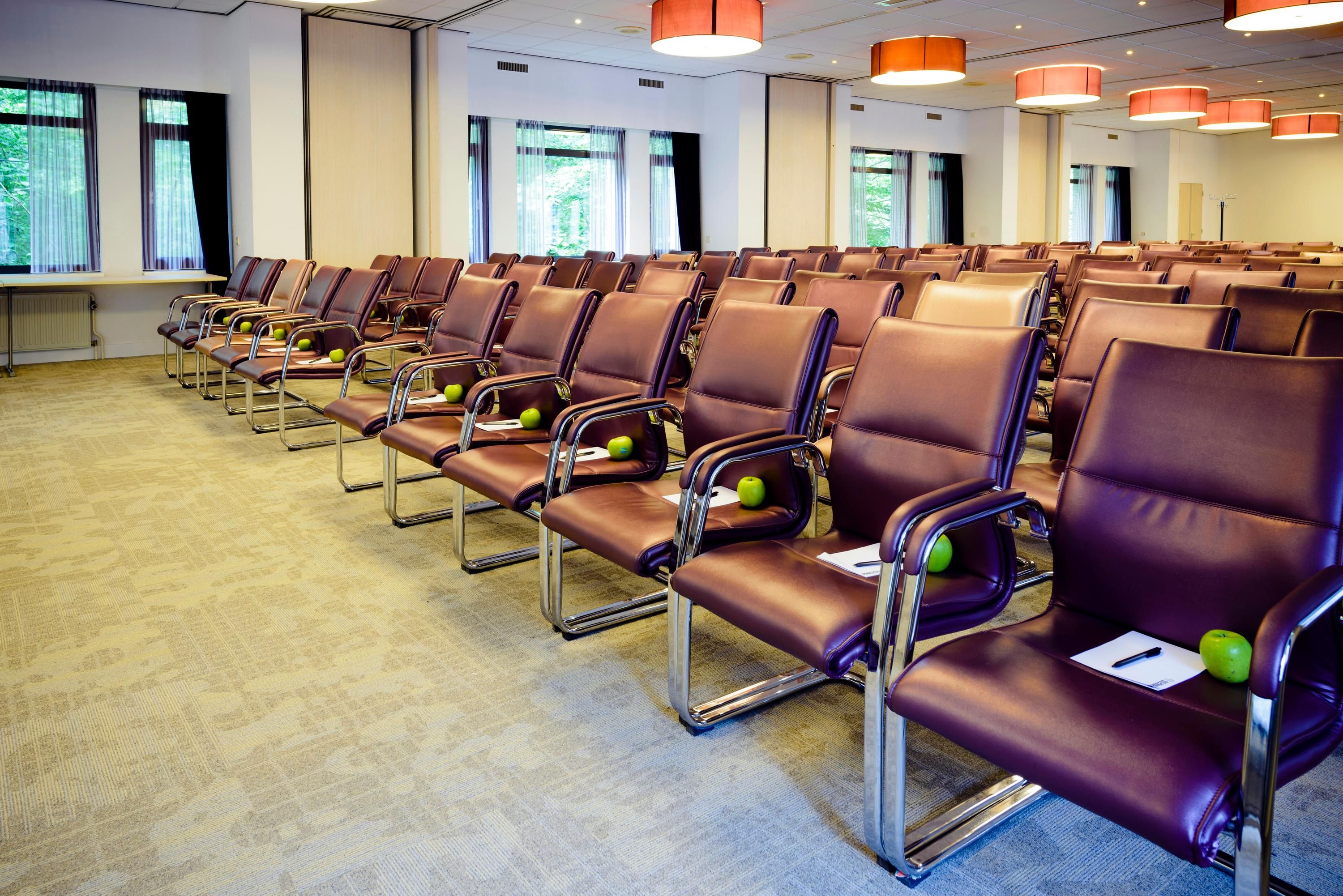 Sala conferenze