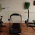 Palestra