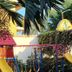 Altro
