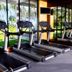 Palestra