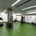 Palestra