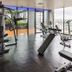 Palestra