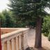 Vista esterna