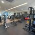 Palestra