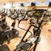 Palestra