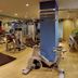 Palestra