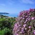 Vista esterna