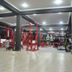 Palestra