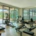 Palestra