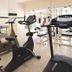 Palestra
