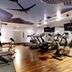 Palestra