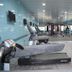 Palestra