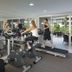 Palestra