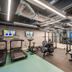 Palestra