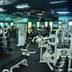 Palestra