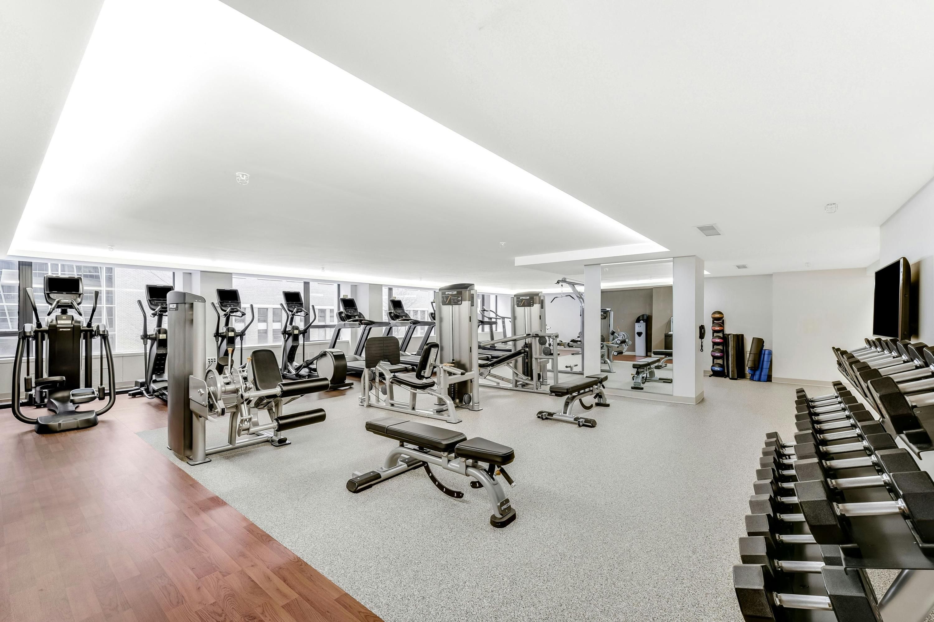 Palestra