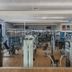 Palestra