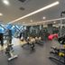 Palestra