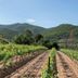 Vista esterna
