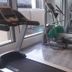 Palestra