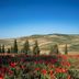 Vista esterna
