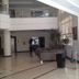 Ingresso