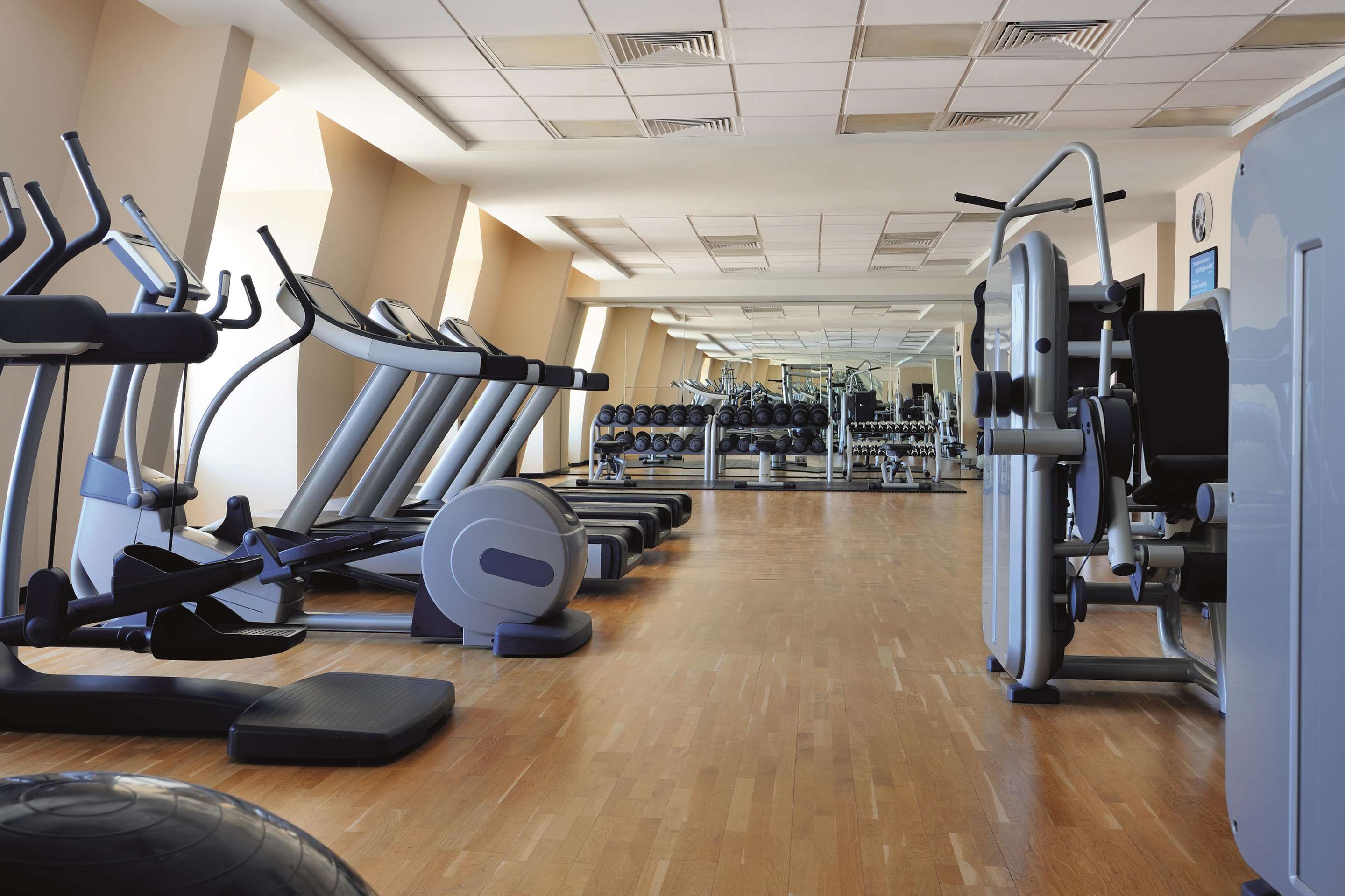 Palestra