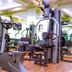 Palestra
