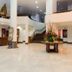 Ingresso