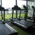 Palestra