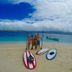 Spiaggia