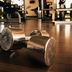 Palestra