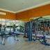 Palestra