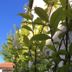 Vista esterna