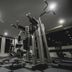 Palestra